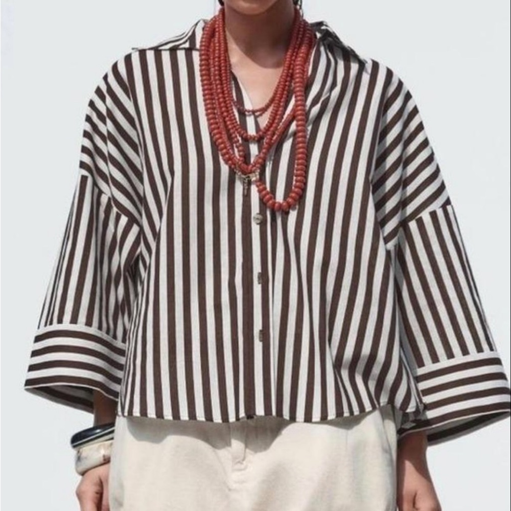Zara Chocolate and White Striped Blouse